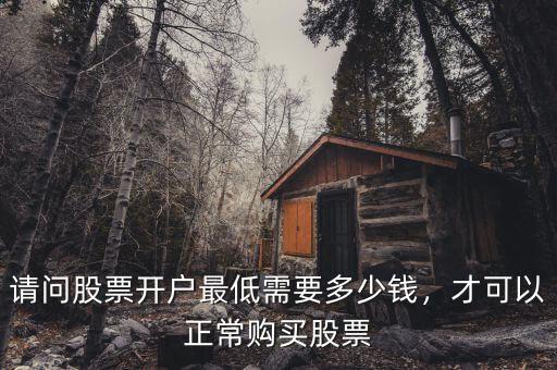 請(qǐng)問(wèn)股票開(kāi)戶最低需要多少錢(qián)，才可以正常購(gòu)買(mǎi)股票