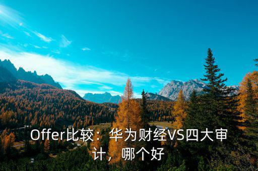 華為財(cái)經(jīng)是什么,華為財(cái)經(jīng)VS四大審計(jì)