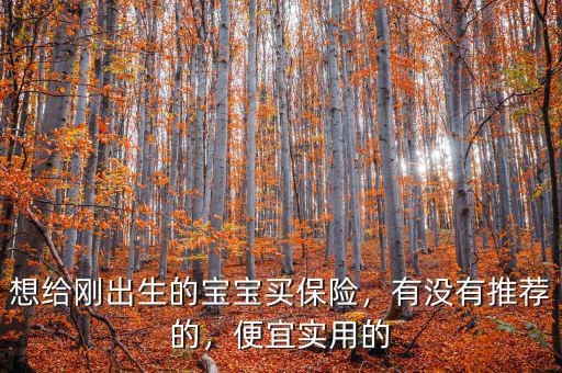 想給剛出生的寶寶買保險(xiǎn)，有沒有推薦的，便宜實(shí)用的