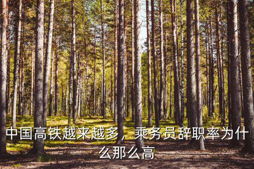 中國(guó)高鐵越來(lái)越多，乘務(wù)員辭職率為什么那么高