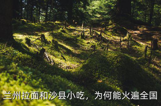 蘭州拉面和沙縣小吃，為何能火遍全國(guó)