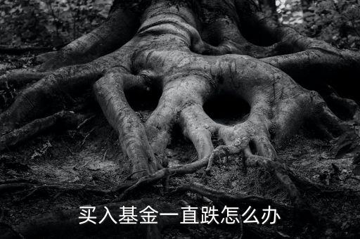 買(mǎi)入基金一直跌怎么辦