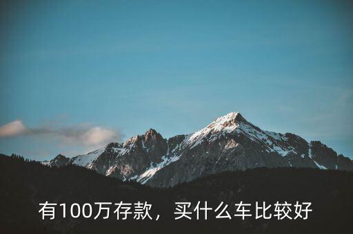 存款有一百萬(wàn)能買(mǎi)什么車(chē),有100萬(wàn)存款
