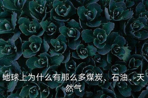 地球上為什么有那么多煤炭、石油、天然氣