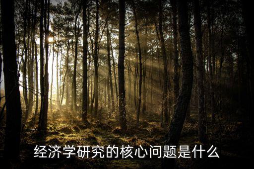 經濟學中關注的是什么量,經濟學的核心是什么