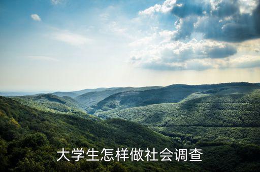 大學(xué)生怎樣做社會調(diào)查