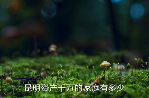 昆明資產(chǎn)千萬的家庭有多少
