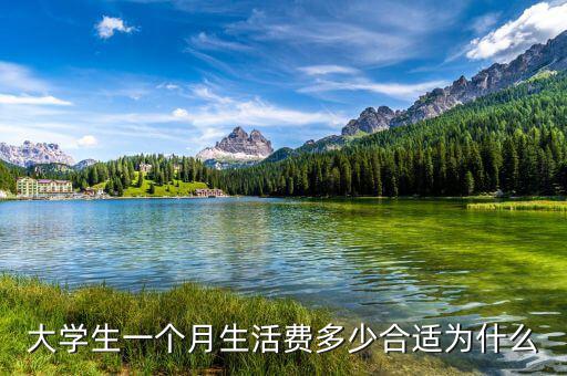大學(xué)生一個月生活費(fèi)多少合適為什么