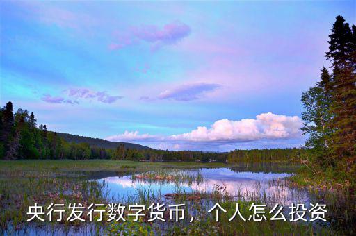 央行發(fā)行數(shù)字貨幣，個(gè)人怎么投資