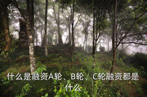什么是融資A輪、B輪、C輪融資都是什么