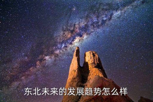 東北未來會(huì)怎么樣,東北未來的發(fā)展趨勢怎么樣