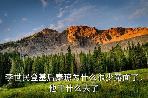 李世民登基后秦瓊為什么很少露面了，他干什么去了