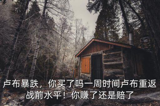 盧布暴跌，你買了嗎一周時(shí)間盧布重返戰(zhàn)前水平！你賺了還是賠了