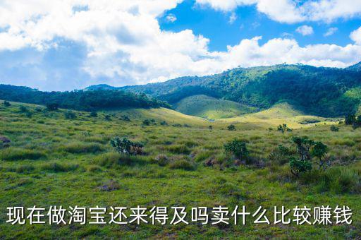 在淘寶賣(mài)什么最賺錢(qián),在淘寶平臺(tái)上賣(mài)什么比較賺錢(qián)