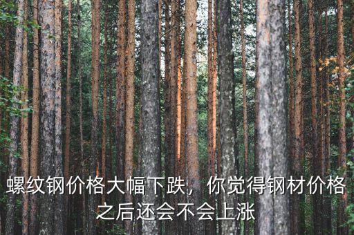 螺紋鋼價(jià)格大幅下跌，你覺(jué)得鋼材價(jià)格之后還會(huì)不會(huì)上漲