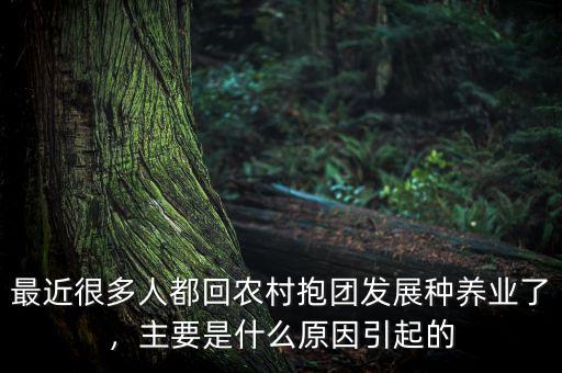 最近很多人都回農(nóng)村抱團(tuán)發(fā)展種養(yǎng)業(yè)了，主要是什么原因引起的