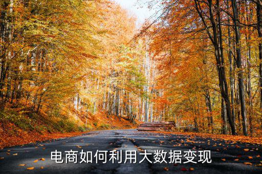 電商如何利用大數據變現(xiàn)