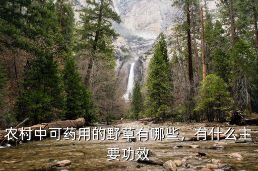 農(nóng)村中可藥用的野草有哪些，有什么主要功效