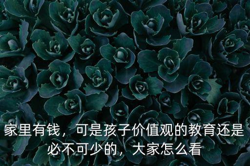 家里有錢(qián)，可是孩子價(jià)值觀的教育還是必不可少的，大家怎么看