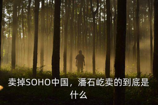 賣掉SOHO中國(guó)，潘石屹賣的到底是什么