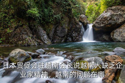 日本貿(mào)促會駐越南會長說越南人缺乏企業(yè)家精神，越南的問題在哪