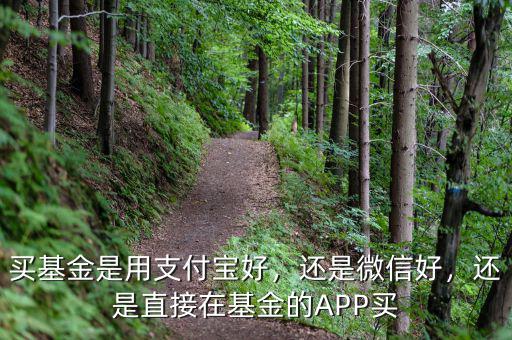 買(mǎi)基金是用支付寶好，還是微信好，還是直接在基金的APP買(mǎi)