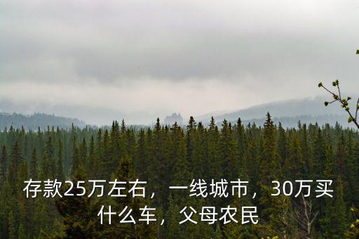 存款25萬左右，一線城市，30萬買什么車，父母農(nóng)民