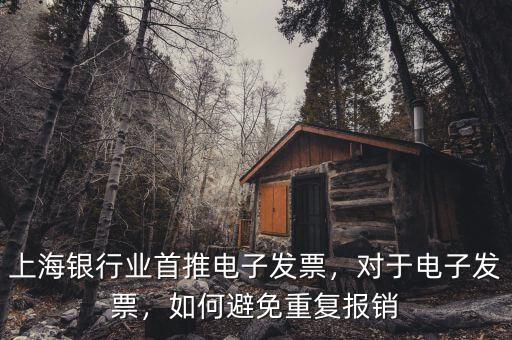 上海銀行業(yè)首推電子發(fā)票，對于電子發(fā)票，如何避免重復(fù)報(bào)銷