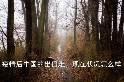 疫情后中國的出口難，現(xiàn)在狀況怎么樣了