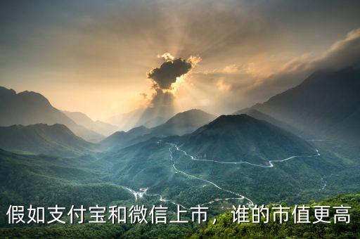 假如支付寶和微信上市，誰的市值更高