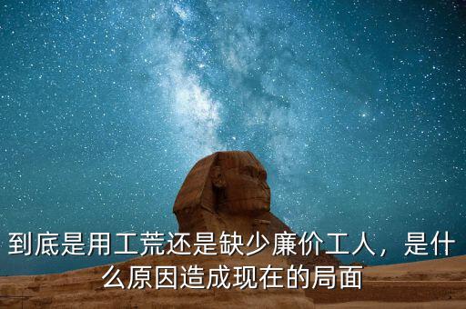 到底是用工荒還是缺少廉價工人，是什么原因造成現(xiàn)在的局面