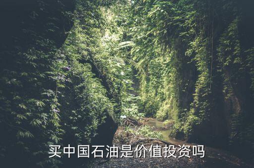 中國什么時候出手購買石油,40價(jià)位出手買入幾億桶石油