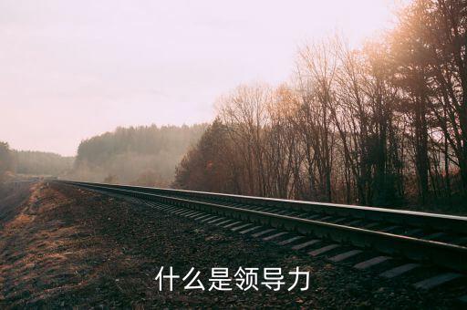 領導力包括什么,領導力需要什么
