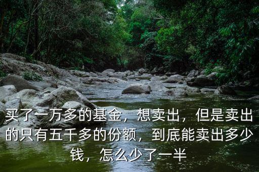 買了一萬多的基金，想賣出，但是賣出的只有五千多的份額，到底能賣出多少錢，怎么少了一半