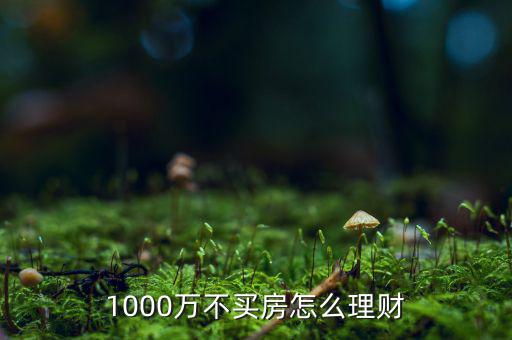 1000萬(wàn)不買房怎么理財(cái)