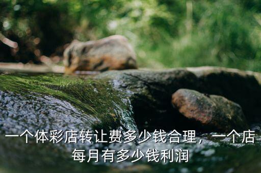 一個體彩店轉讓費多少錢合理，一個店每月有多少錢利潤