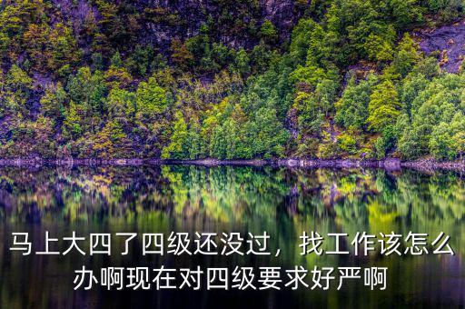馬上大四了四級還沒過，找工作該怎么辦啊現(xiàn)在對四級要求好嚴啊