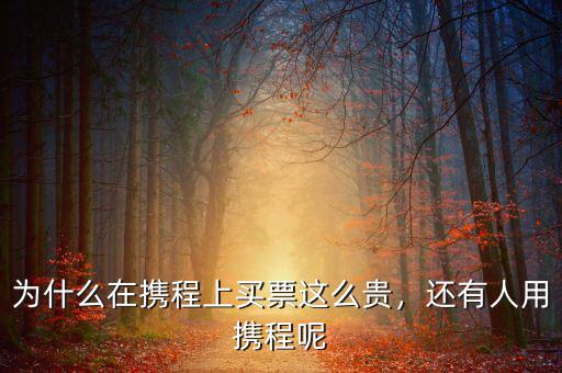 攜程買(mǎi)票為什么貴,為什么在攜程上買(mǎi)票這么貴