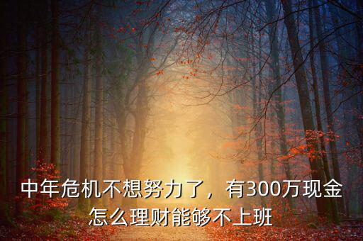 中年危機(jī)不想努力了，有300萬(wàn)現(xiàn)金怎么理財(cái)能夠不上班