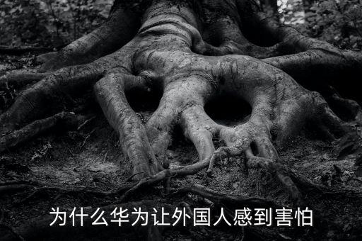 美國為什么怕華為,華為只是一個(gè)公司
