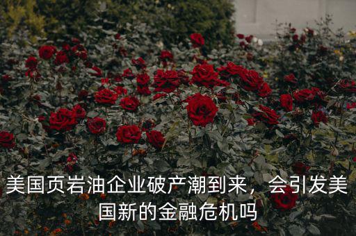 美國(guó)頁(yè)巖油企業(yè)破產(chǎn)潮到來(lái)，會(huì)引發(fā)美國(guó)新的金融危機(jī)嗎
