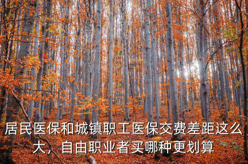 居民醫(yī)保和城鎮(zhèn)職工醫(yī)保交費差距這么大，自由職業(yè)者買哪種更劃算