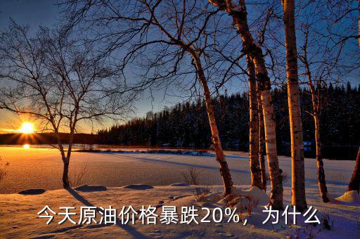 今天原油價(jià)格暴跌20%，為什么