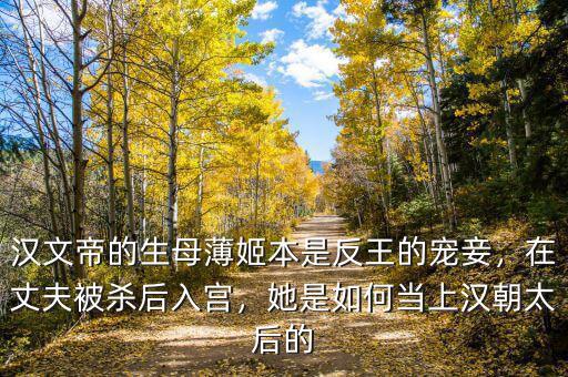 漢文帝的生母薄姬本是反王的寵妾，在丈夫被殺后入宮，她是如何當(dāng)上漢朝太后的
