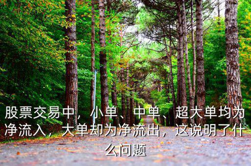 股票交易中，小單、中單、超大單均為凈流入，大單卻為凈流出，這說明了什么問題