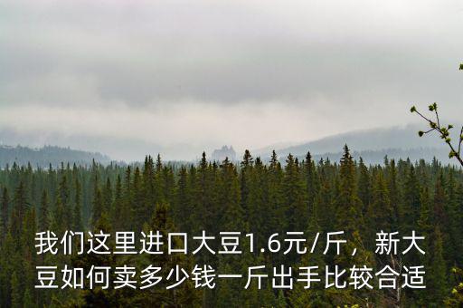我們這里進(jìn)口大豆1.6元/斤，新大豆如何賣多少錢一斤出手比較合適