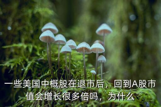 一些美國中概股在退市后，回到A股市值會增長很多倍嗎，為什么