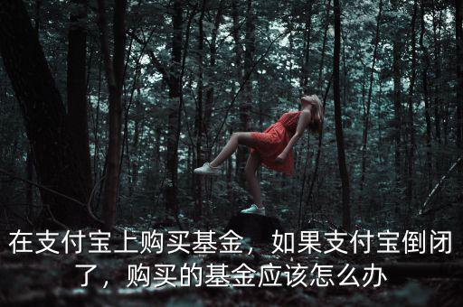 在支付寶上購買基金，如果支付寶倒閉了，購買的基金應(yīng)該怎么辦