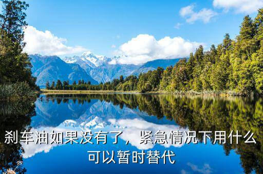 什么替代了鯨油,剎車(chē)油如果沒(méi)有了