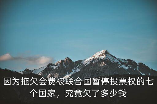 因為拖欠會費被聯(lián)合國暫停投票權(quán)的七個國家，究竟欠了多少錢